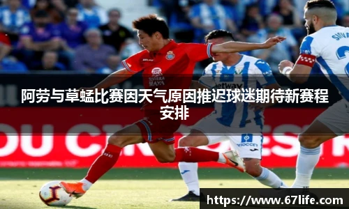 阿劳与草蜢比赛因天气原因推迟球迷期待新赛程安排