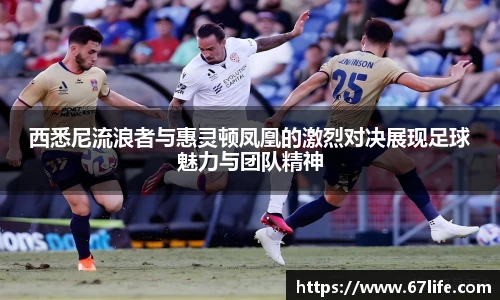 zoty中欧最新地址